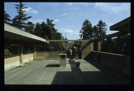 Terragni Giuseppe - Villa Bianco: diapositive