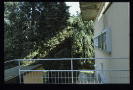 Terragni Giuseppe - Villa Bianco: diapositive