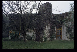 Villa Ottolenghi : diapositive