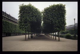 Palais Royal: diapositive
