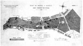 État du Rhône avant travaux 1882